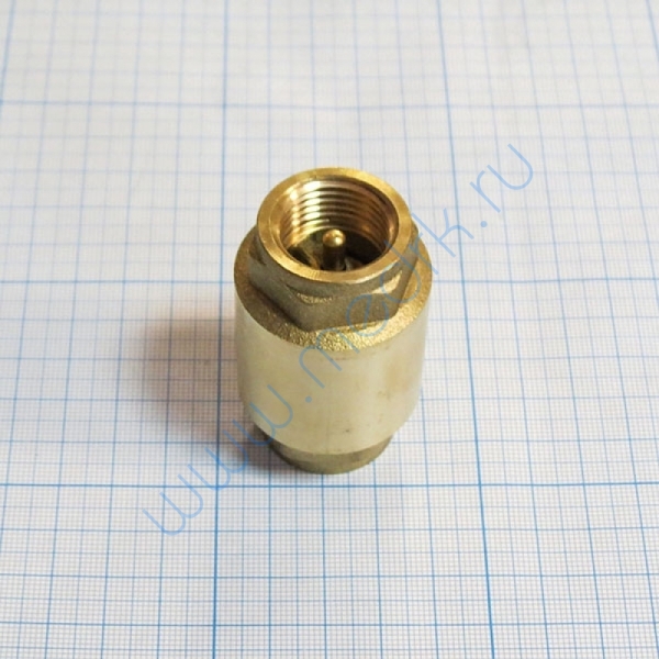 Клапан обратный 1/2″ для стерилизатора ГК-100-5  Вид 6